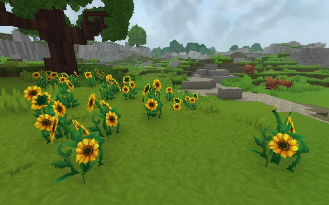 Où trouver des tournesols sur Hytale ? | Guide